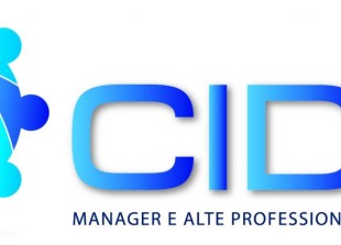 Cida_Mapi logo